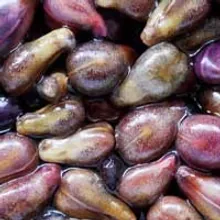 Grape seed, one of the 22 ingredients listed on both the Audifort and ZenCortex labels