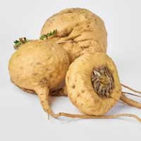 Maca root, a Glyco Harmony ingredient