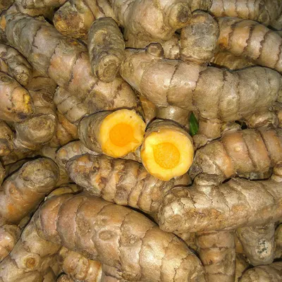 Fresh turmeric rhizomes, source of the curcuminoid extract in NervoLyn