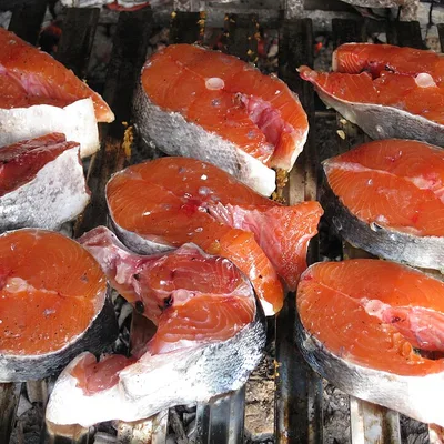 Fresh salmon steaks, whose pink color comes from astaxanthin
